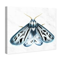 Wynwood Studio Životinje Zidno umjetnosti Platno Ispiši 'Azure moljac' insekti - plava, bijela