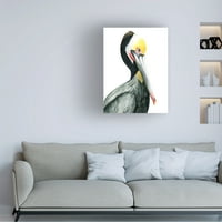 Grace Popp 'akvarel pelikan i' platnena umjetnost