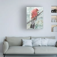 Zvjezdani Dizajn Studio 'Tropic Parrot I' Canvas Art