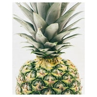 Remek-djelo Umjetnička galerija ananas krupni plan kompanije Pineapple Supply Co. Canvas Art Print 22