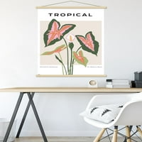 Botanički - tropski zidni poster sa magnetnim okvirom, 22.375 34
