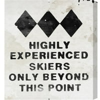 Wynwood Studio Sports and Teams Wall Art Canvas Prints 'Experienced Skiers' skijanje-crno, bijelo