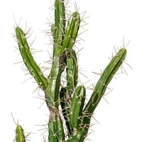 Vickerman 34 Umjetni zeleni kaktus, crni plastični sadilica