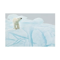 Joan Gil Raga' Polarni Medvjed Na Iceberg ' Platno Art