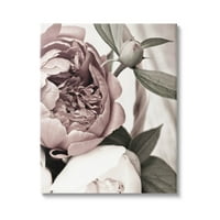 Cvjetajući Božur Cvjetni Pupoljci Botanička I Cvjetna Fotografija Galerija Umotano Platno Print Wall Art