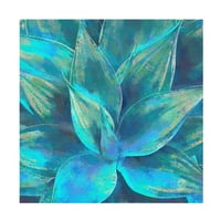 Cora Niele 'Agave Forms III' Canvas Art