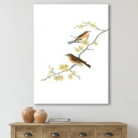 Designart 'Little Birds sjedi na granama drveća II' tradicionalni platneni zidni umjetnički Print