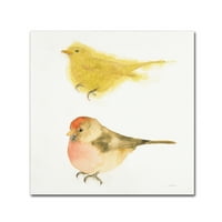 Zaštitni znak likovne umjetnosti 'akvarelne ptice i Sq' platnena Umjetnost Shirley Novak