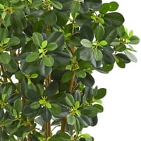 Skoro prirodna 3 'Panda ficus umjetno stablo, zeleno