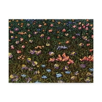 Zaštitni znak likovne umjetnosti 'Wildflowers In Field' platno Art James W. Johnson