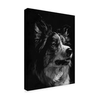 Zaštitni znak Likovna umjetnost 'Canine ogrebotina IV' platno umjetnost Julie T. Chapman