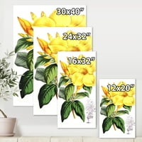 Designart 'zeleni listovi sa tropskim žutim cvjetovima II' tradicionalni platneni zidni umjetnički Print