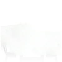 Namještaj Amerike Dwight tapacirane stolice za blagovanje-Set od 2, bijeli