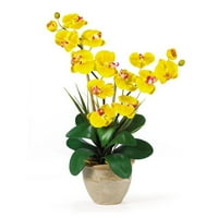 Skoro prirodni dvostruki Phalaenopsis umjetni orhidelni cvjetni aranžman, žuti