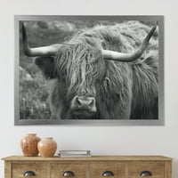 Designart 'Close Up Of Scottish Cow On Moorland I' Farmhouse Framed Art Print