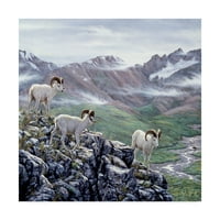 Zaštitni znak likovne umjetnosti' Dall ovca u Denali ' platno Art Jeff Tift