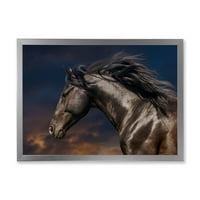 Designart 'Close Up of Thoroughbred Nonius Stallion Horse III' seoska kuća uokvirena Art Print